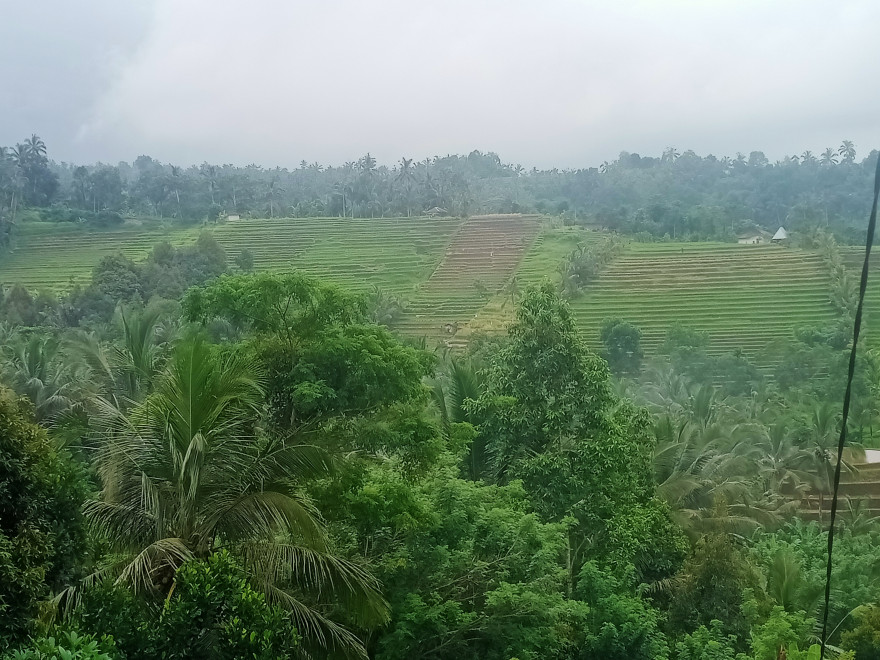 POTENSI DESA KARYASARI